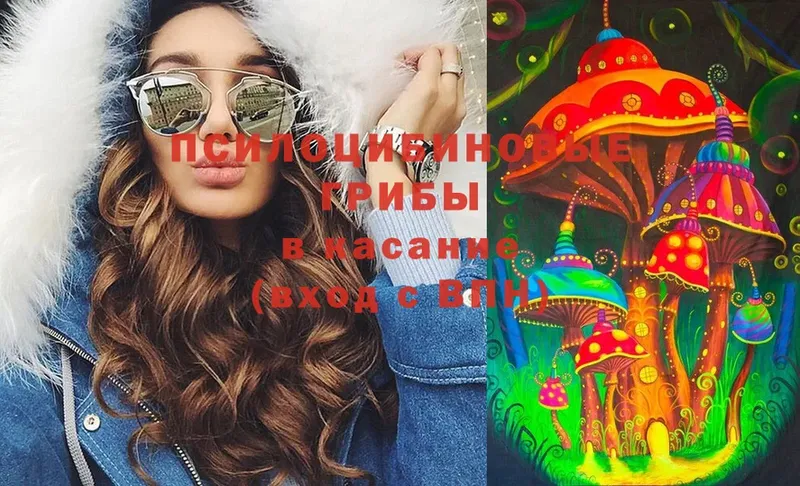 Галлюциногенные грибы Magic Shrooms  где купить наркоту  KRAKEN tor  Кущёвская 